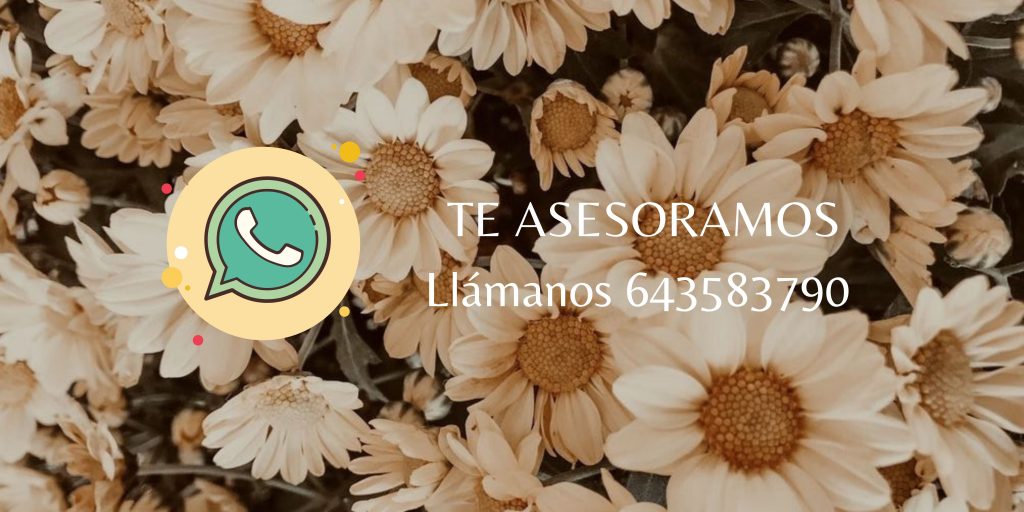 Te contestamos, en menos de 24 horas (1)