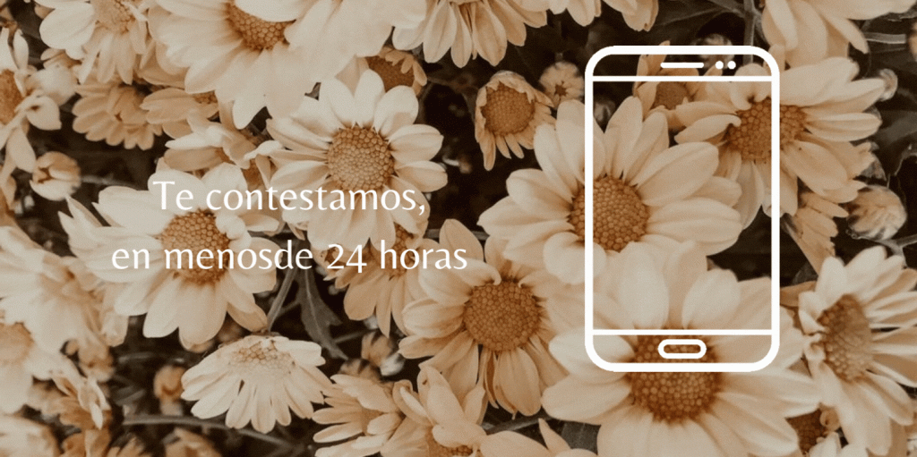 Te contestamos, en menos de 24 horas